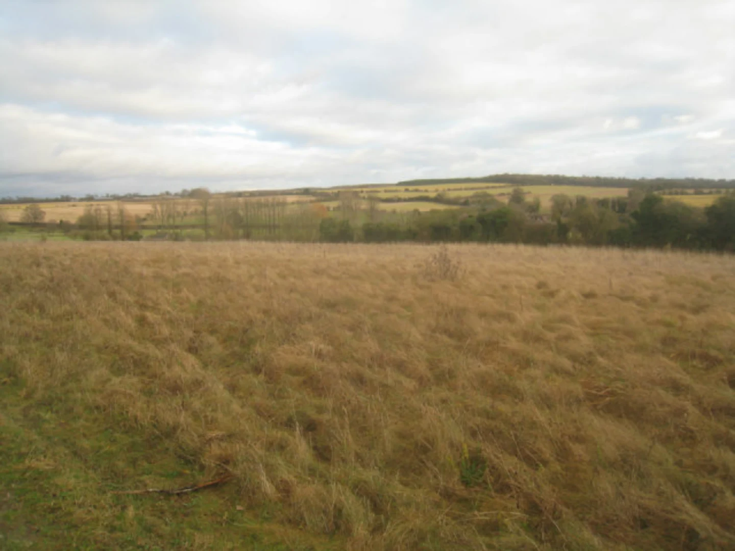 An image depicting the trail Brown Candover and Wayfarer's Walk and its surrounding area.