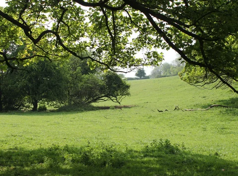 An image depicting the trail Shepton Mallet and its surrounding area.