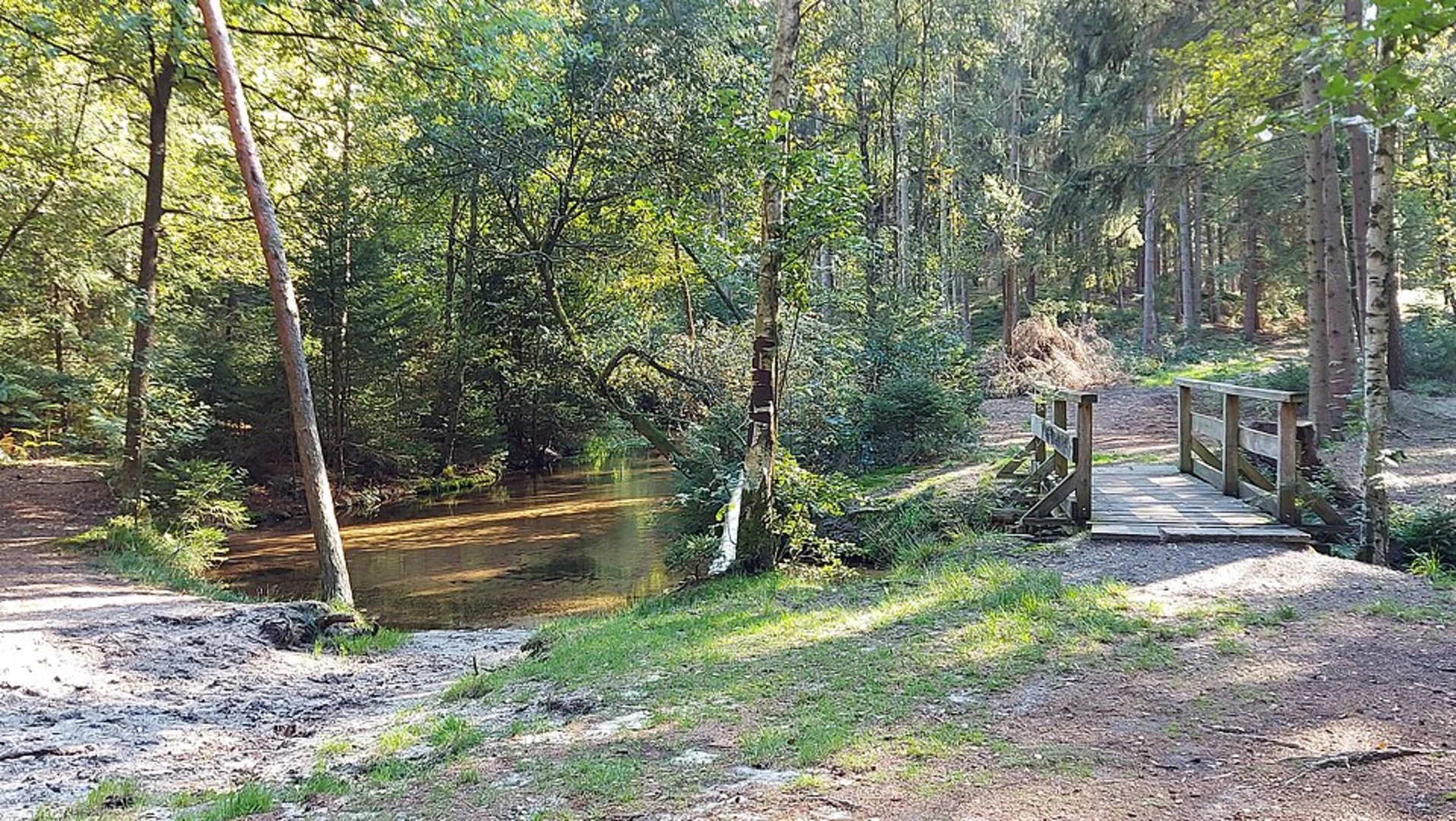 An image depicting the trail Weesen Walk and its surrounding area.