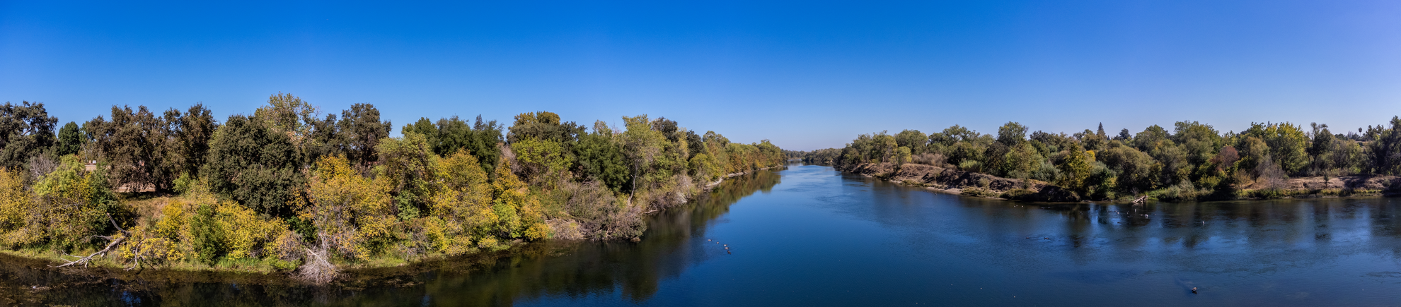 An image depicting the trail American River Trail - Hogan Community Park and its surrounding area.