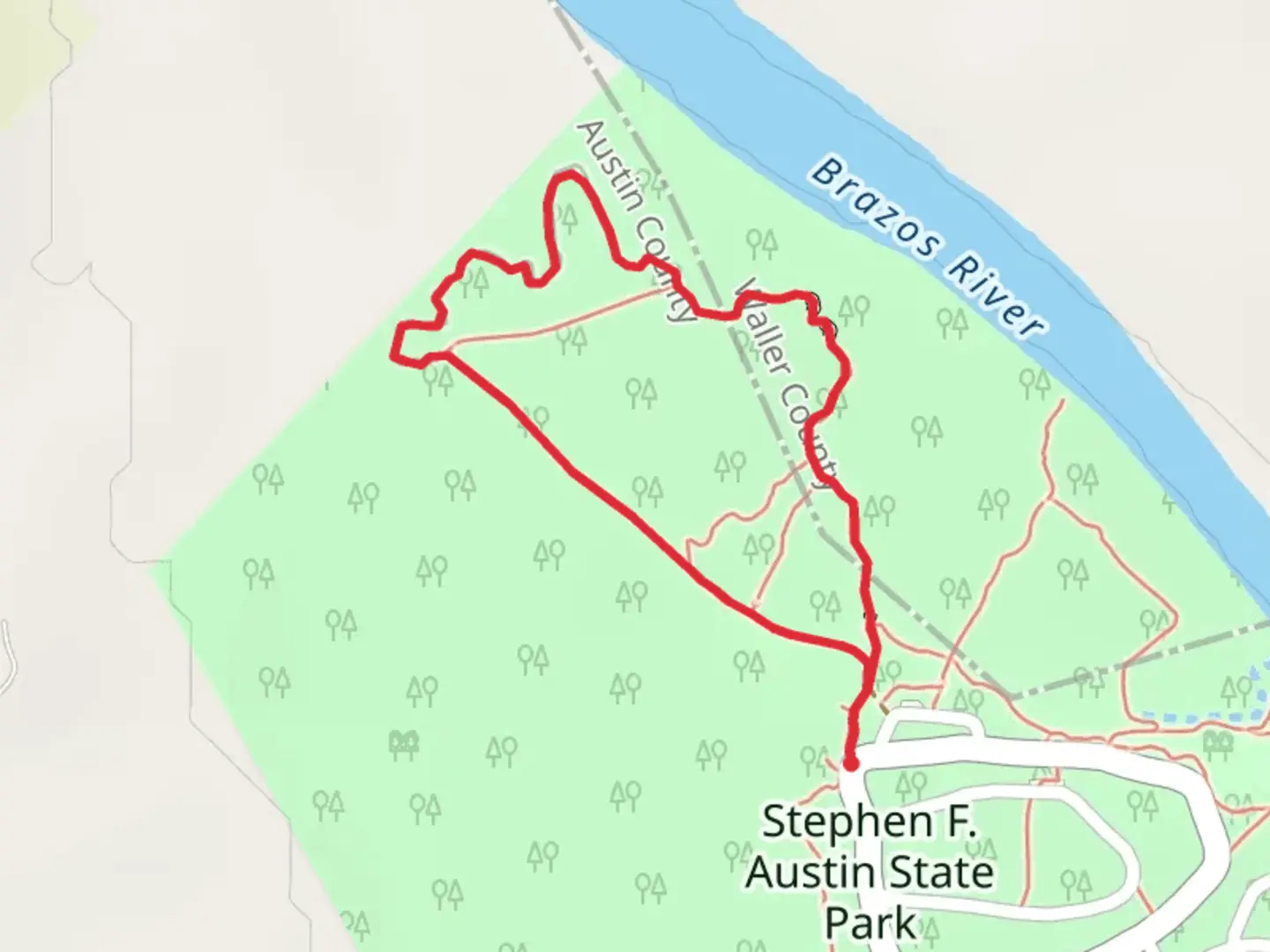 An image depicting the trail Stephen F Austin State Park Loop - Brazos River and its surrounding area.
