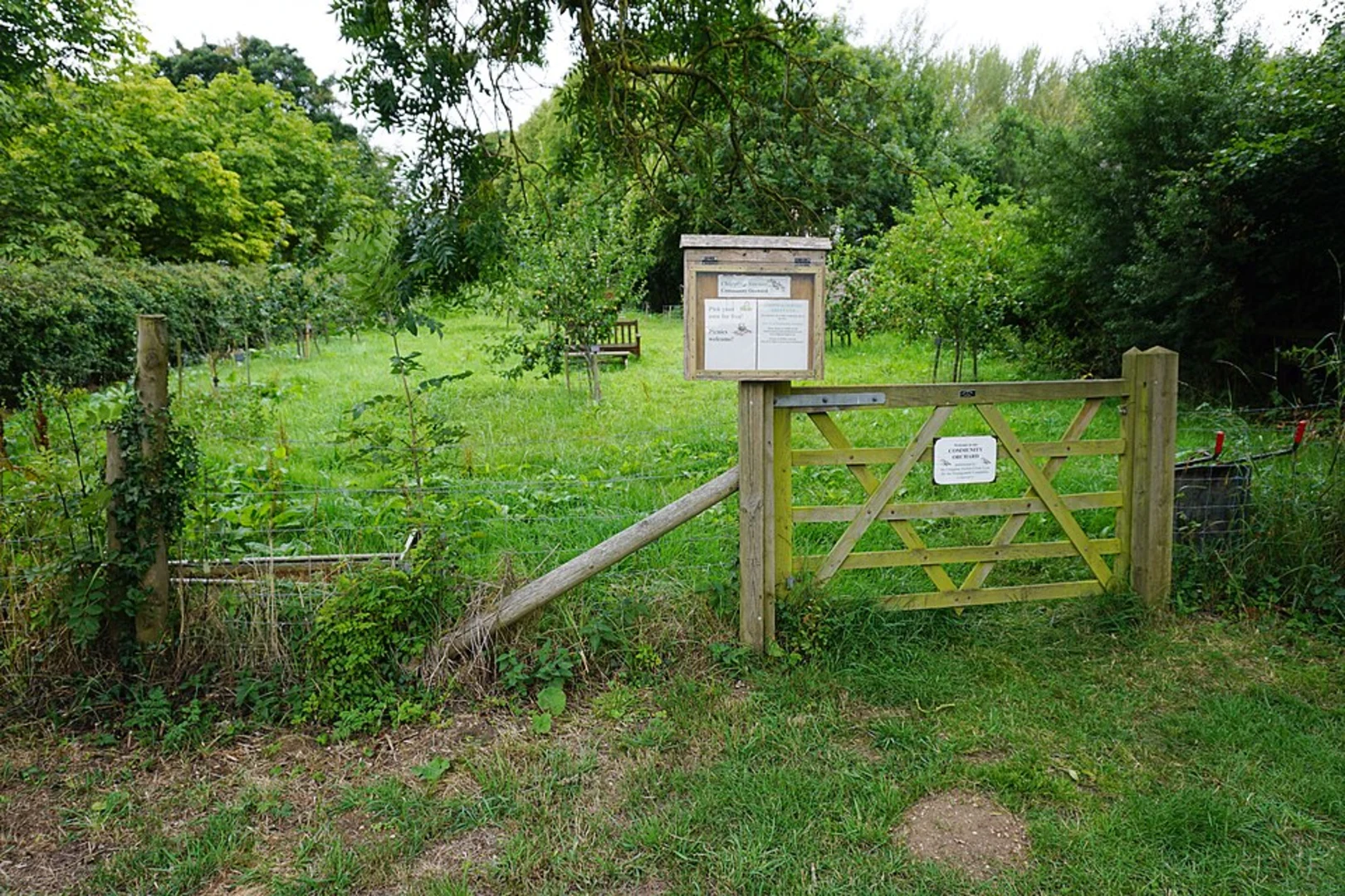 An image depicting the trail Chipping Norton Common Loop and its surrounding area.