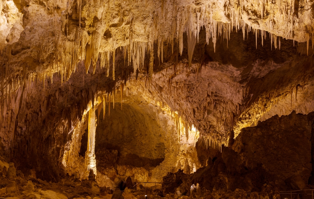 An image depicting the trail Carlsbad Caverns National Park and its surrounding area.