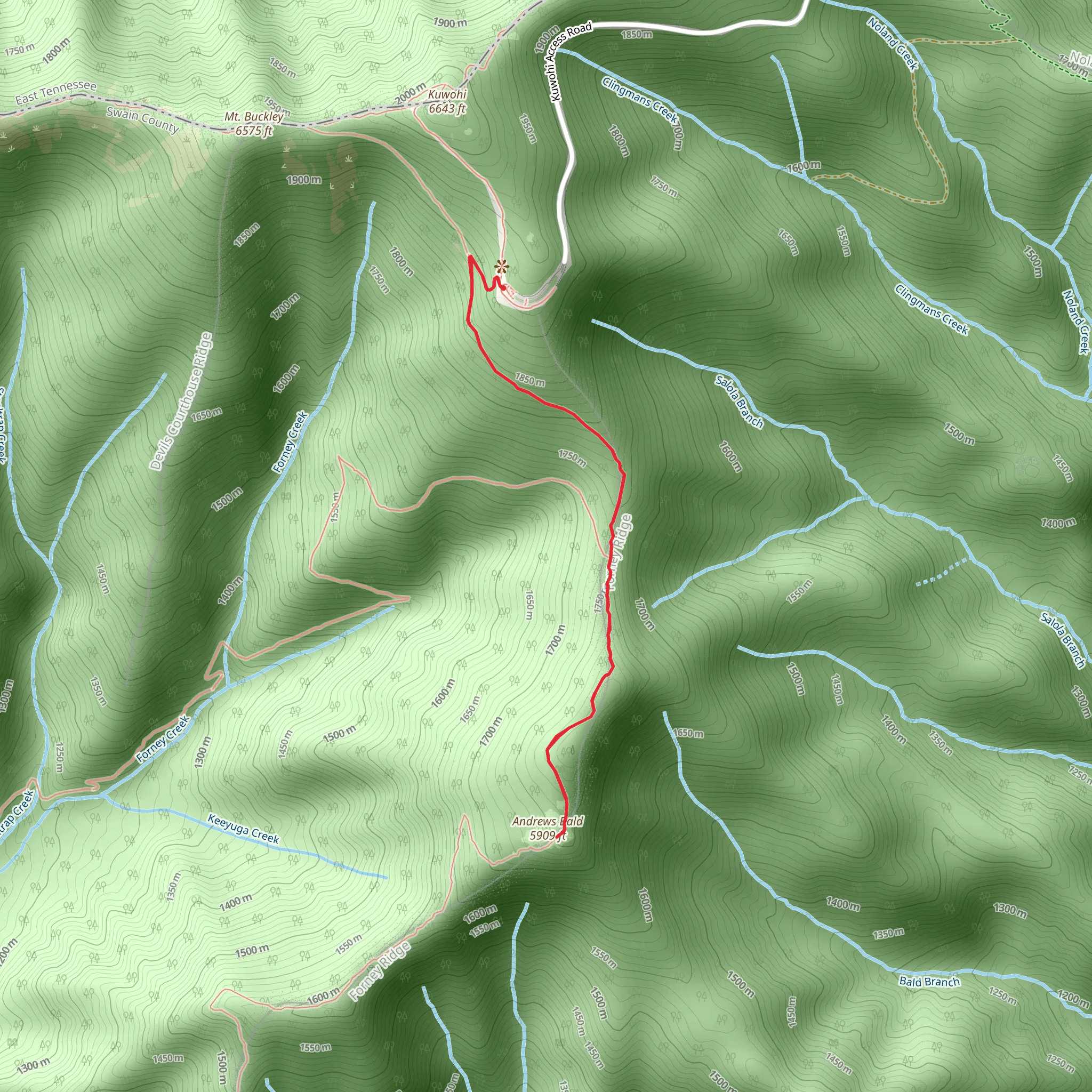 Andrews Bald via Forney Ridge Trail mobile static map