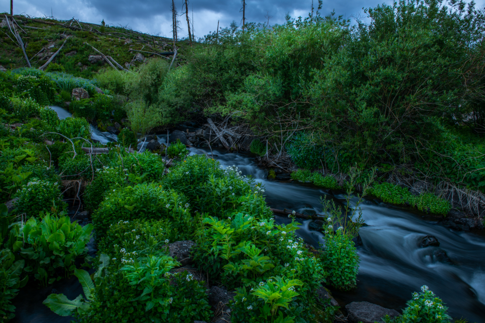 An image depicting the trail Scotts Bay Overlook Trail and its surrounding area.