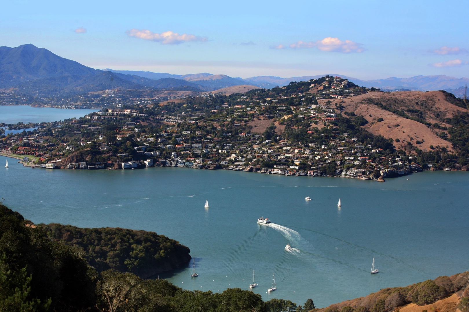 An image depicting the trail Tiburon Linear Park and its surrounding area.
