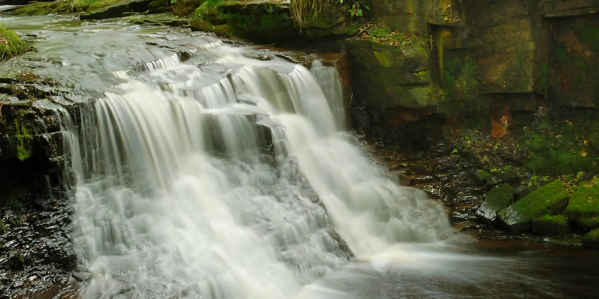 An image depicting the trail Darwen Moor - Jubilee Tower - River Roddlesworth and Witton Weavers Way and its surrounding area.