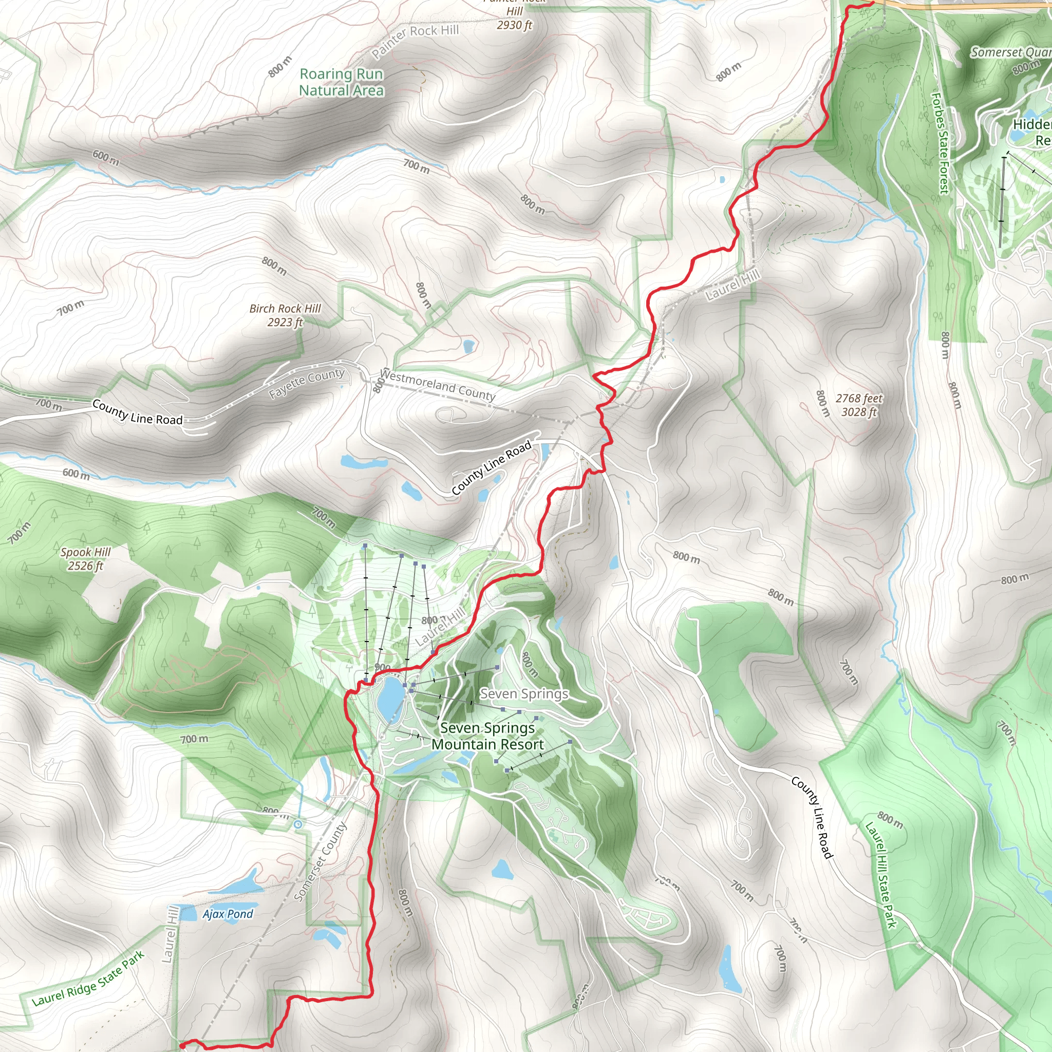 Seven Springs mobile static map
