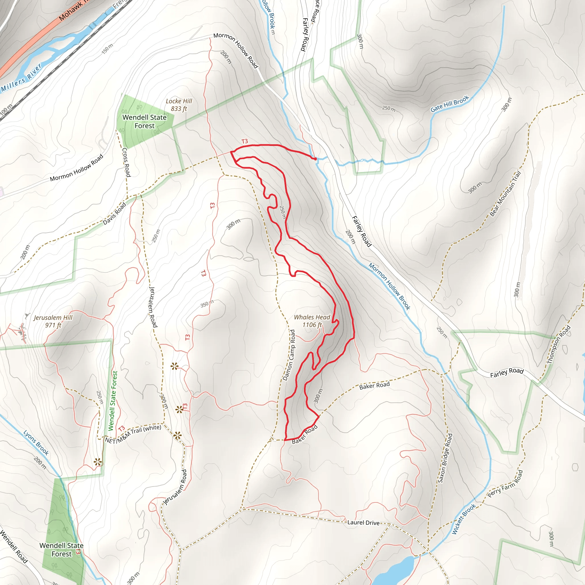 Wendell State Forest - Hannah Swarton Trail Loop mobile static map