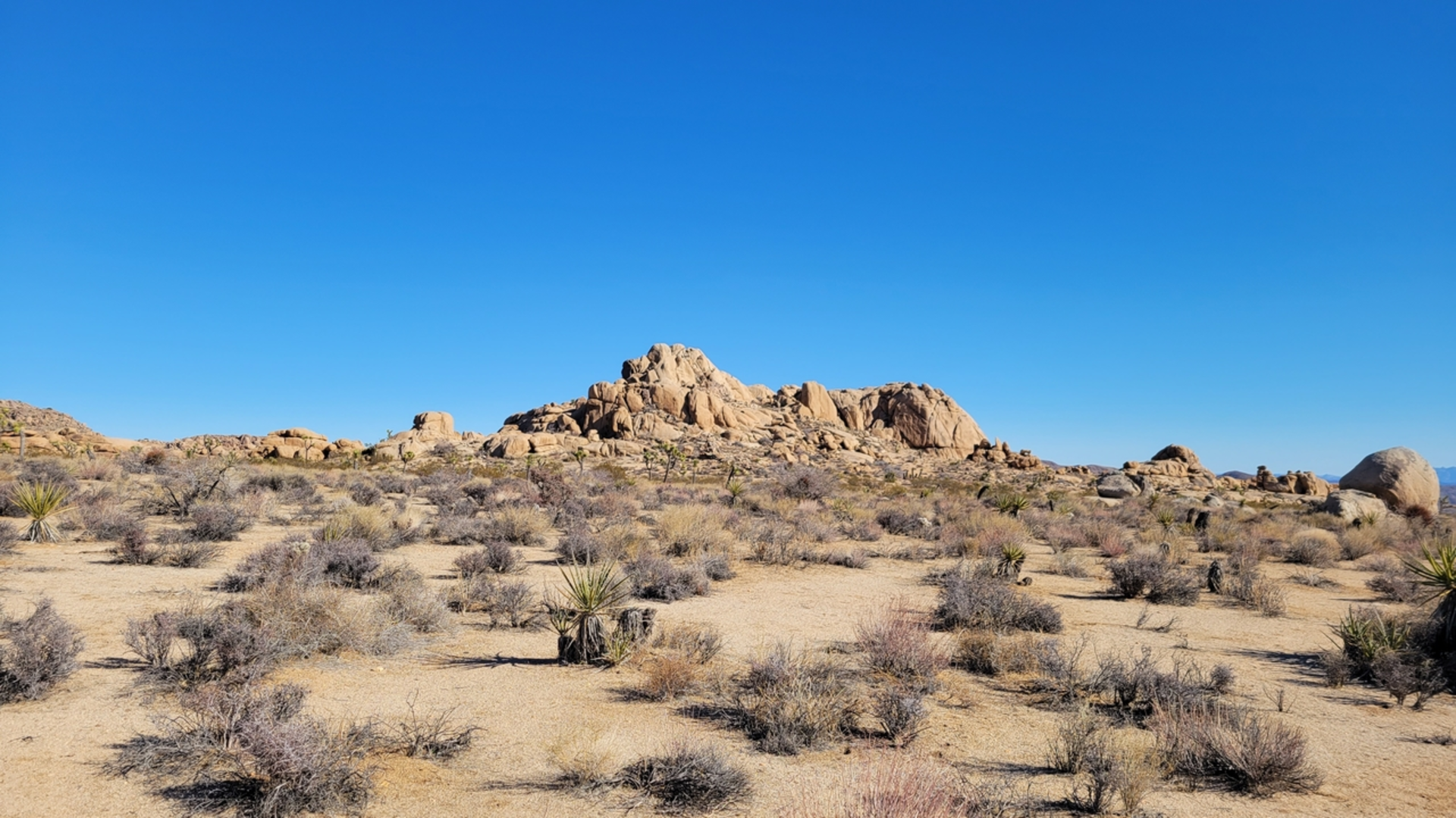 An image depicting the trail Geology Tour Road Trail and its surrounding area.