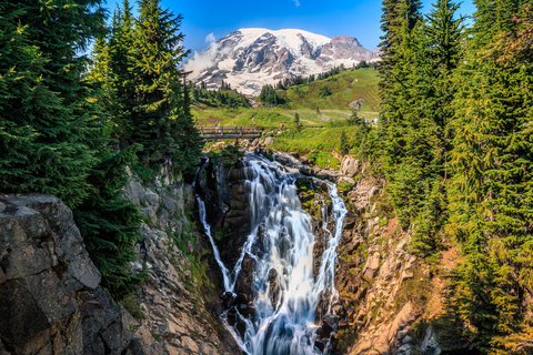 An image depicting the trail Myrtle Falls Viewpoint via Skyline Trail and its surrounding area.