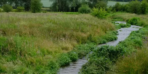 An image depicting the trail Great Gaddesden from Jockey End and its surrounding area.