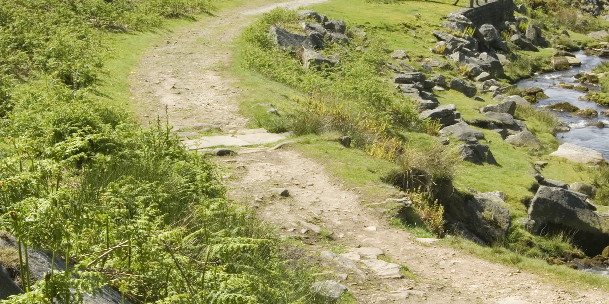 An image depicting the trail Hebden Gill from Hebden and its surrounding area.