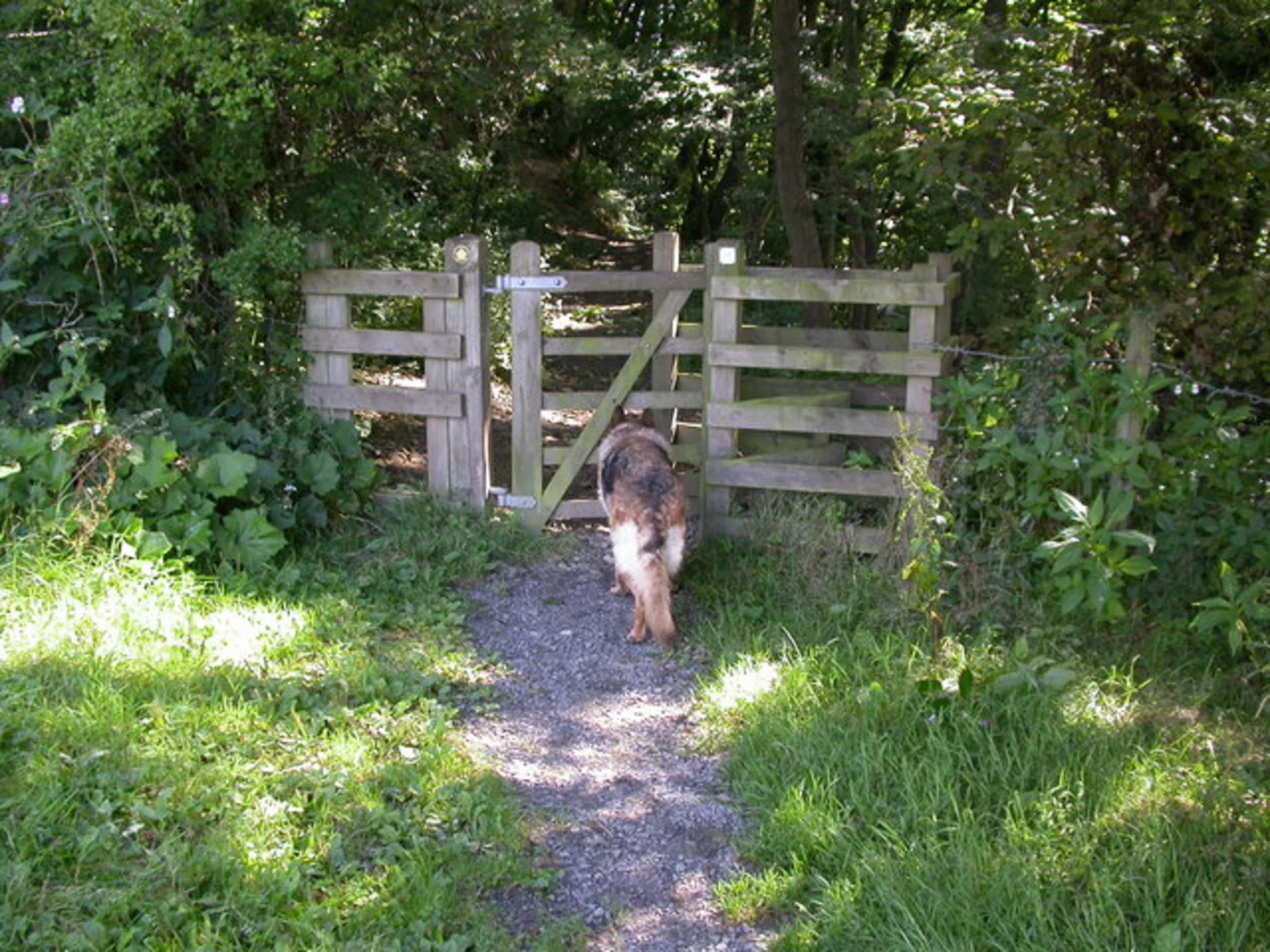 An image depicting the trail Bilsborrow to Garstang Walk and its surrounding area.