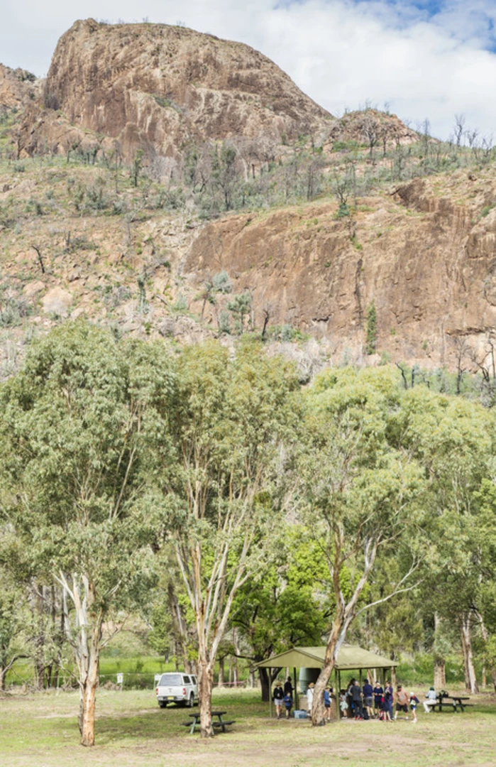 An image depicting the trail Wambelong Nature Walking Track and its surrounding area.