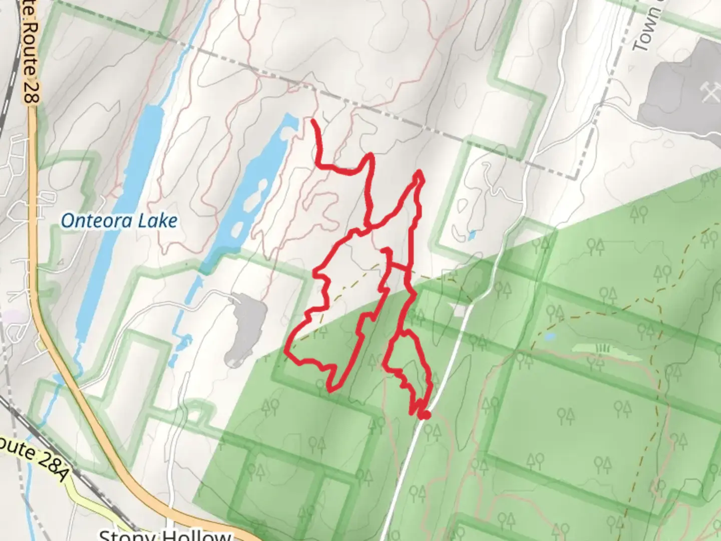 An image depicting the trail Pickerel Pond via Morey Hill Road and its surrounding area.