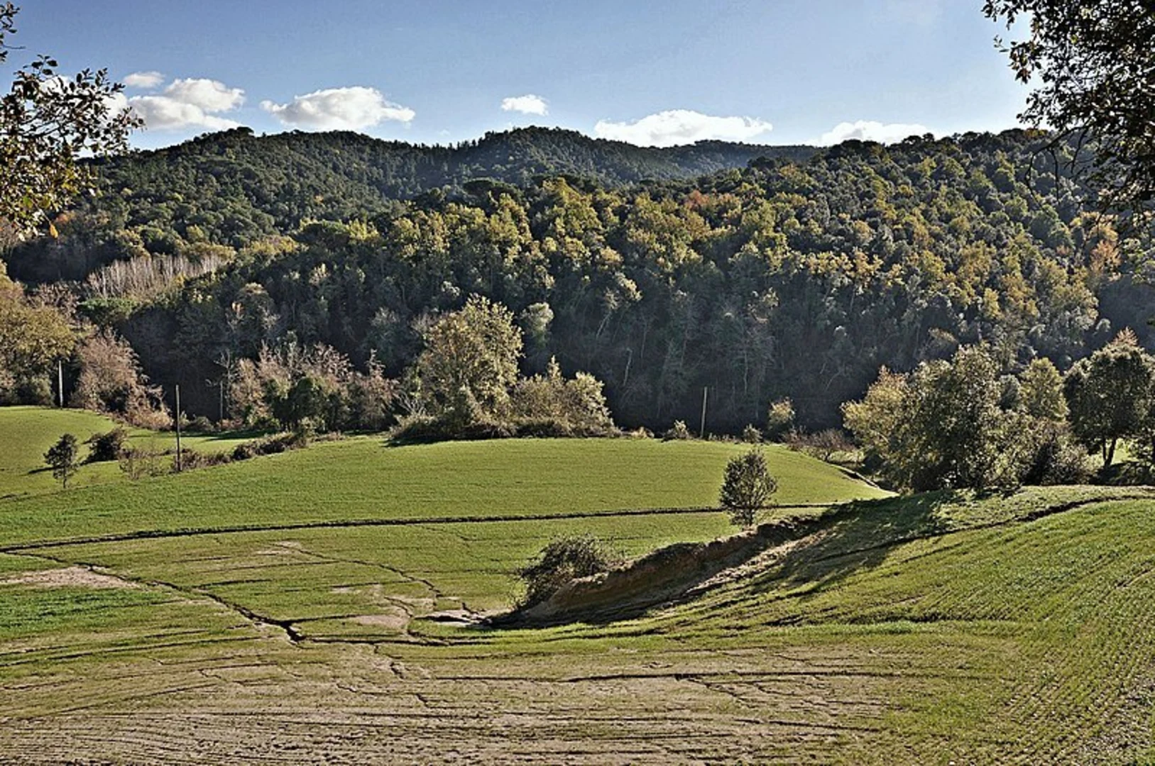 An image depicting the trail Montnegre Carener SL C 103 and its surrounding area.