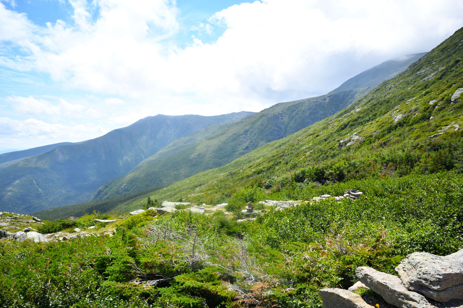 An image depicting the trail Mad River Notch Loop and its surrounding area.