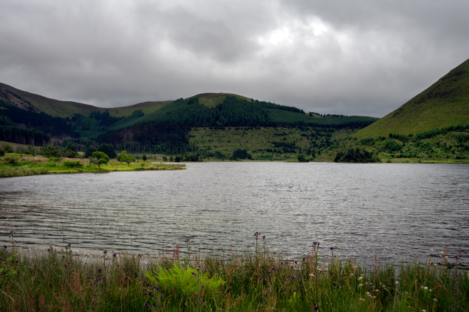 An image depicting the trail Blake Fell Walk and its surrounding area.