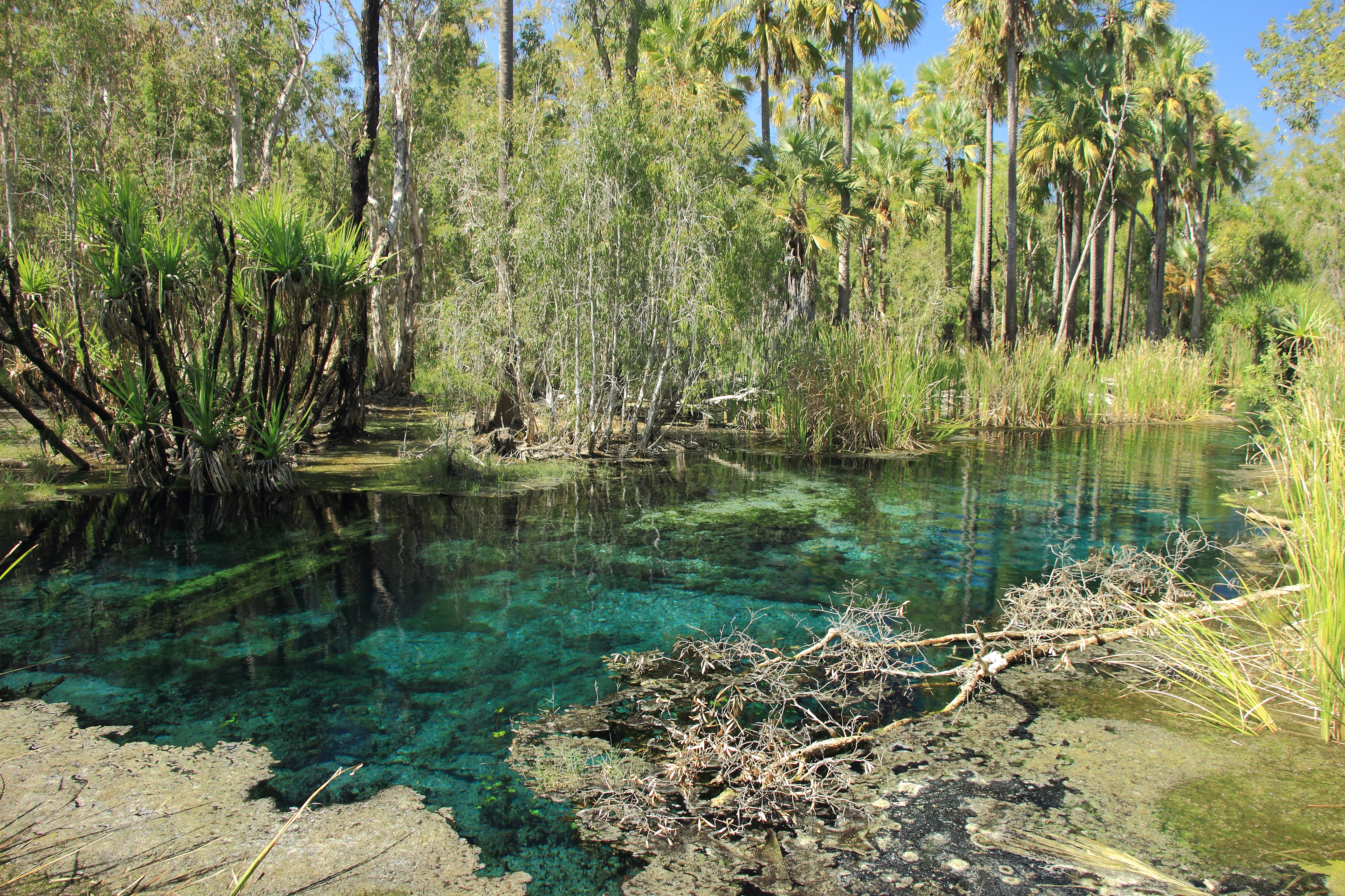 An image depicting the trail Elsey National Park and its surrounding area.