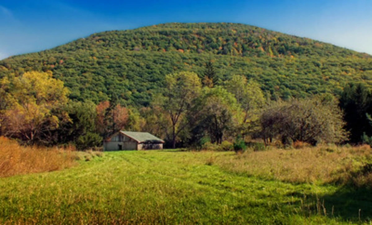 Scouten Brook and State Route 3001 Loop