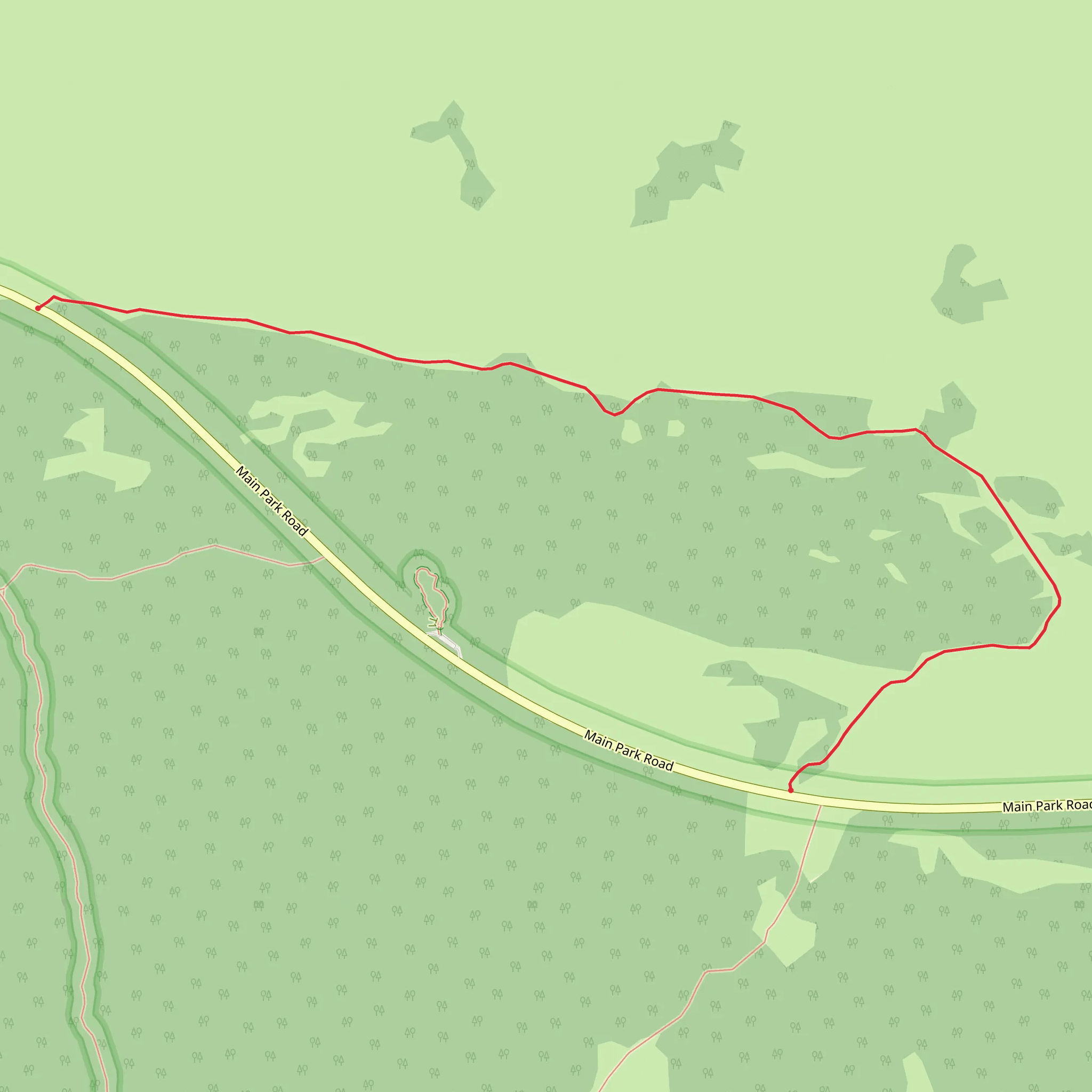 Long Pine Key Nature Gate 9 and 11 Trail mobile static map