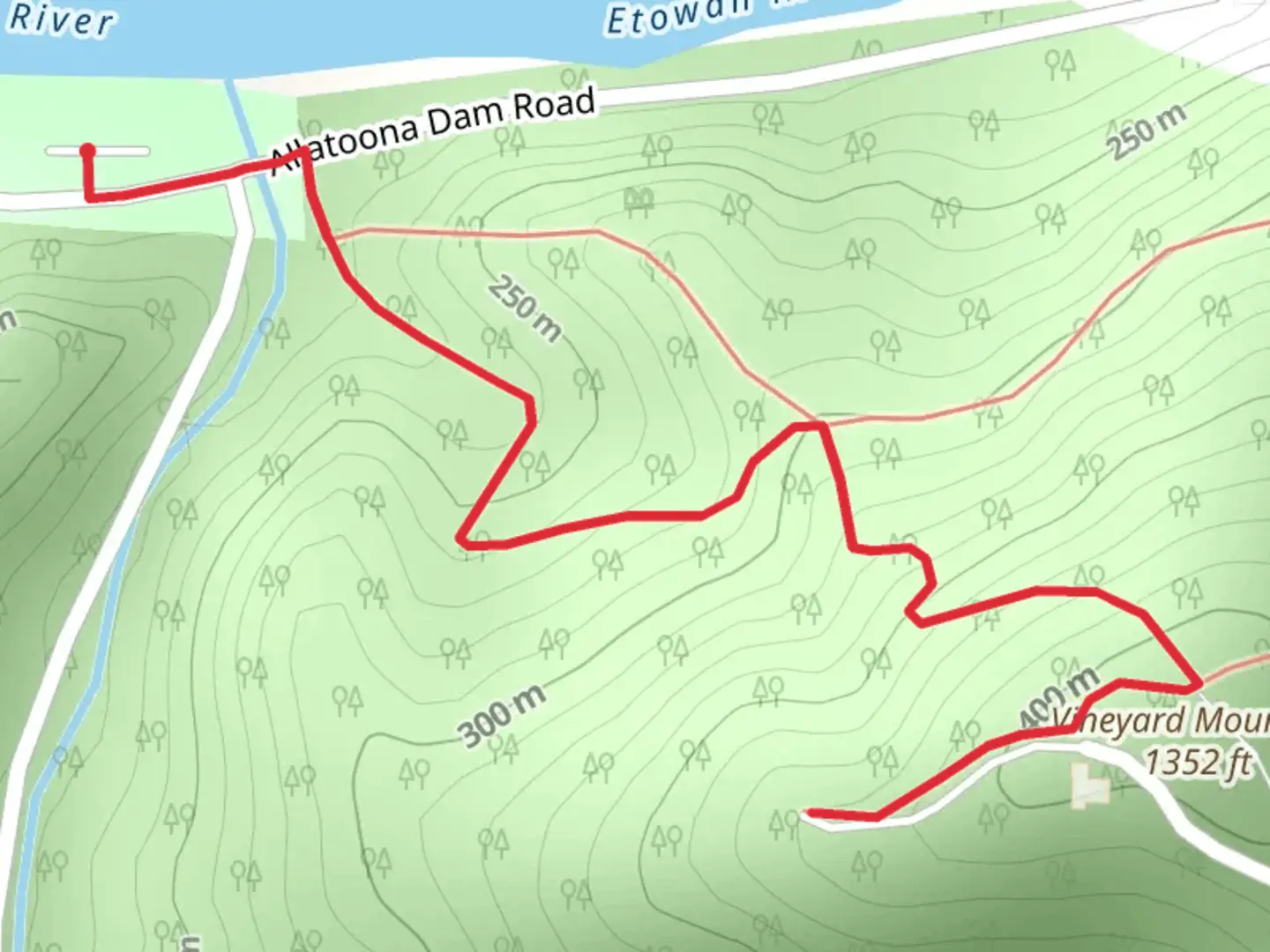 An image depicting the trail Vineyard Mountain Out and Back and its surrounding area.