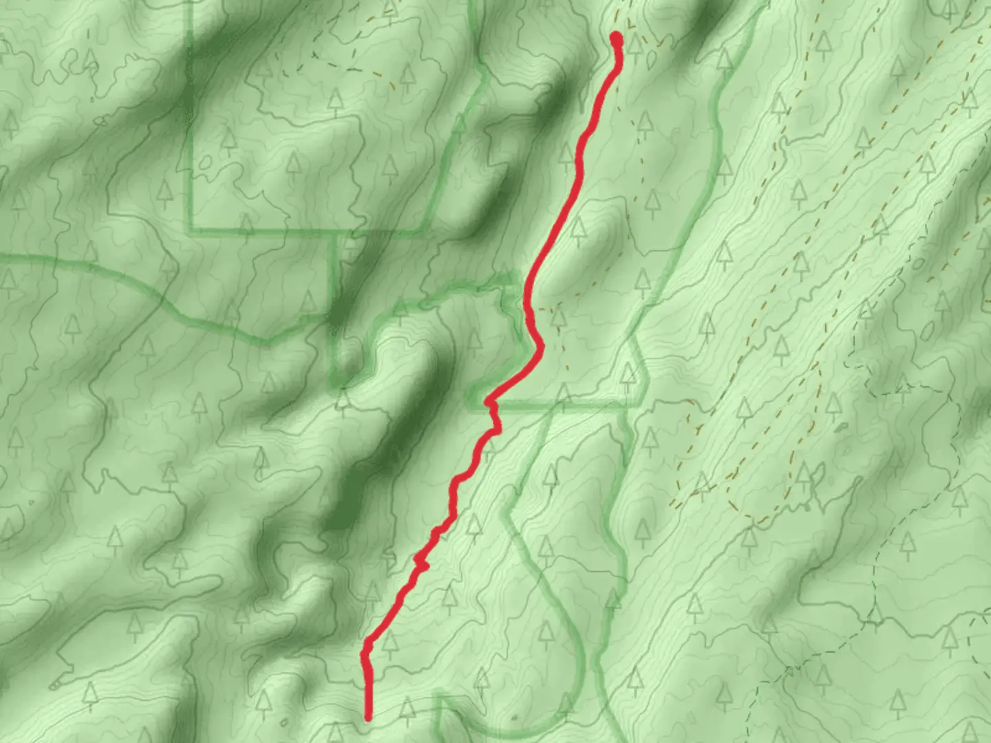 An image depicting the trail Whychus Creek and its surrounding area.