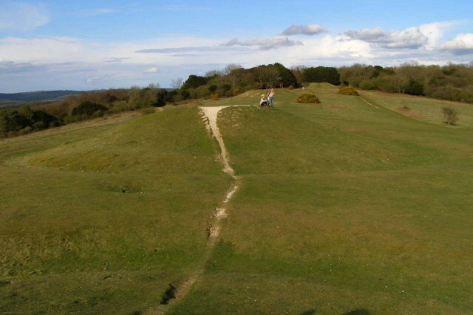 An image depicting the trail Kingley Vale National Nature Reserve Loop and its surrounding area.