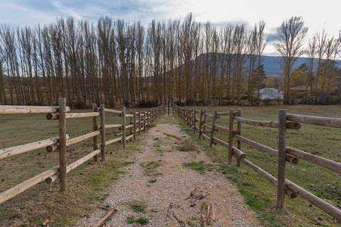 An image depicting the trail The Castillejos PR SO 58 and its surrounding area.