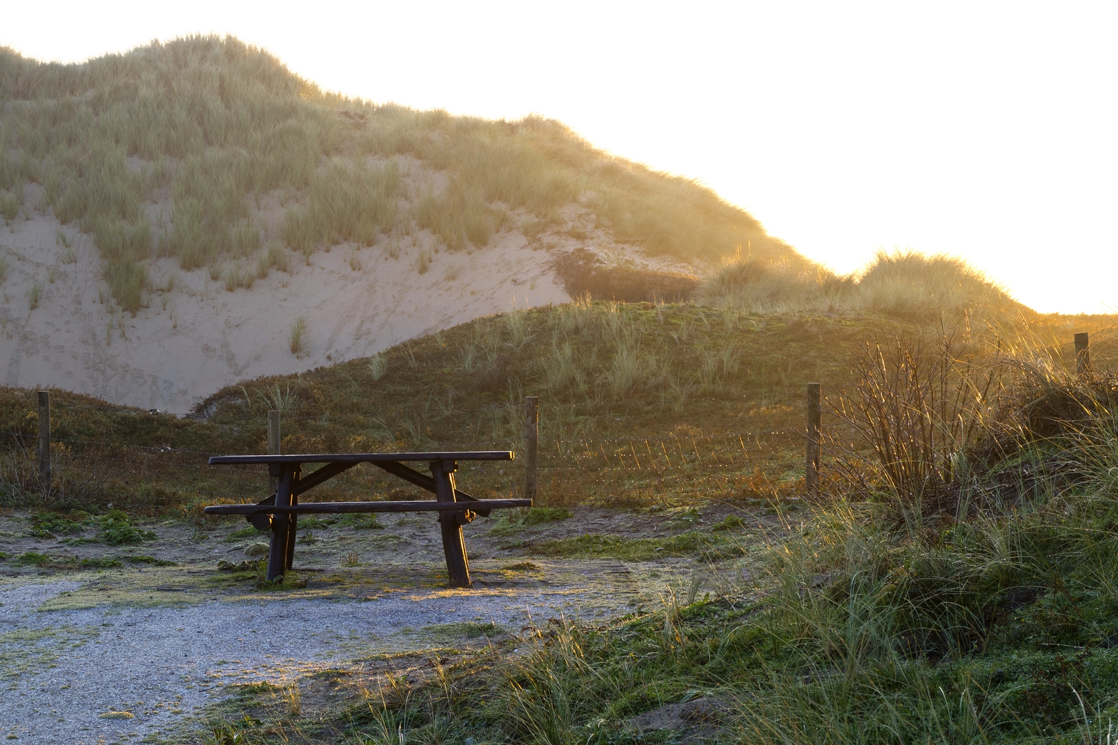 An image depicting the trail Kachelduin, Coepelduynen and Klein Leeuwenhorst Loop and its surrounding area.