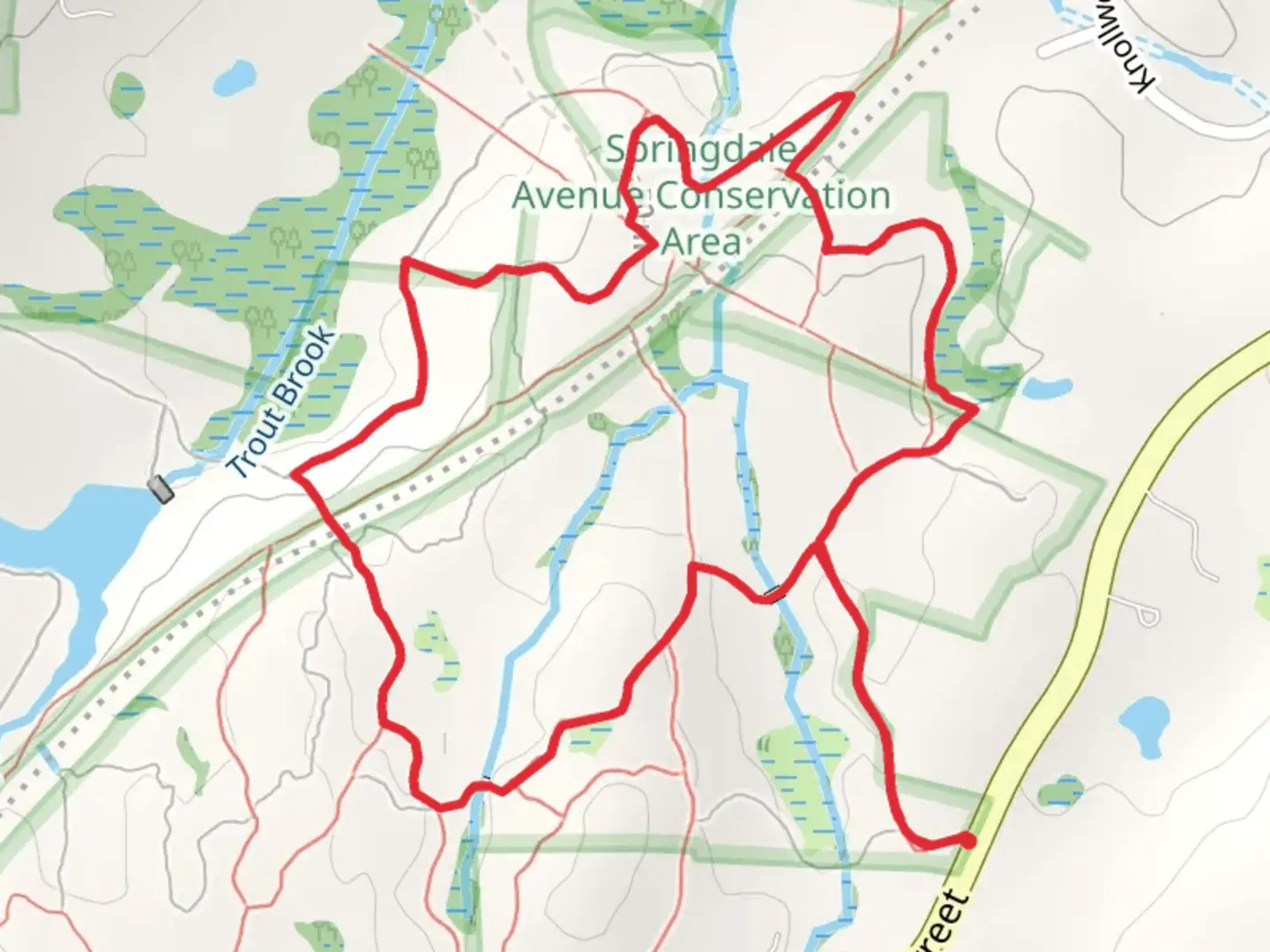 An image depicting the trail Trout Brook via Blue Trail and its surrounding area.