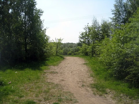 Southern Washlands Nature Reserve Loop