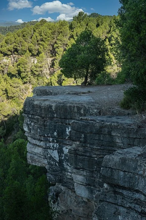 Sandero of the Gavarra PR C 136