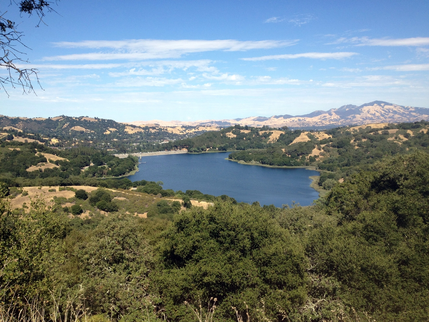 An image depicting the trail Lafayette Reservoir Loop via Rim Trail and its surrounding area.