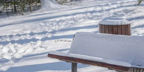An image depicting the trail Washington and Old Dominion Trail and its surrounding area.
