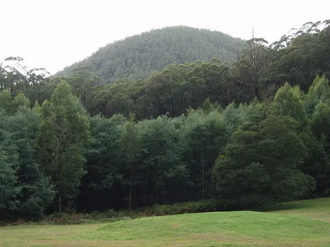 An image depicting the trail Mount Dom Dom Hermitage Track and its surrounding area.