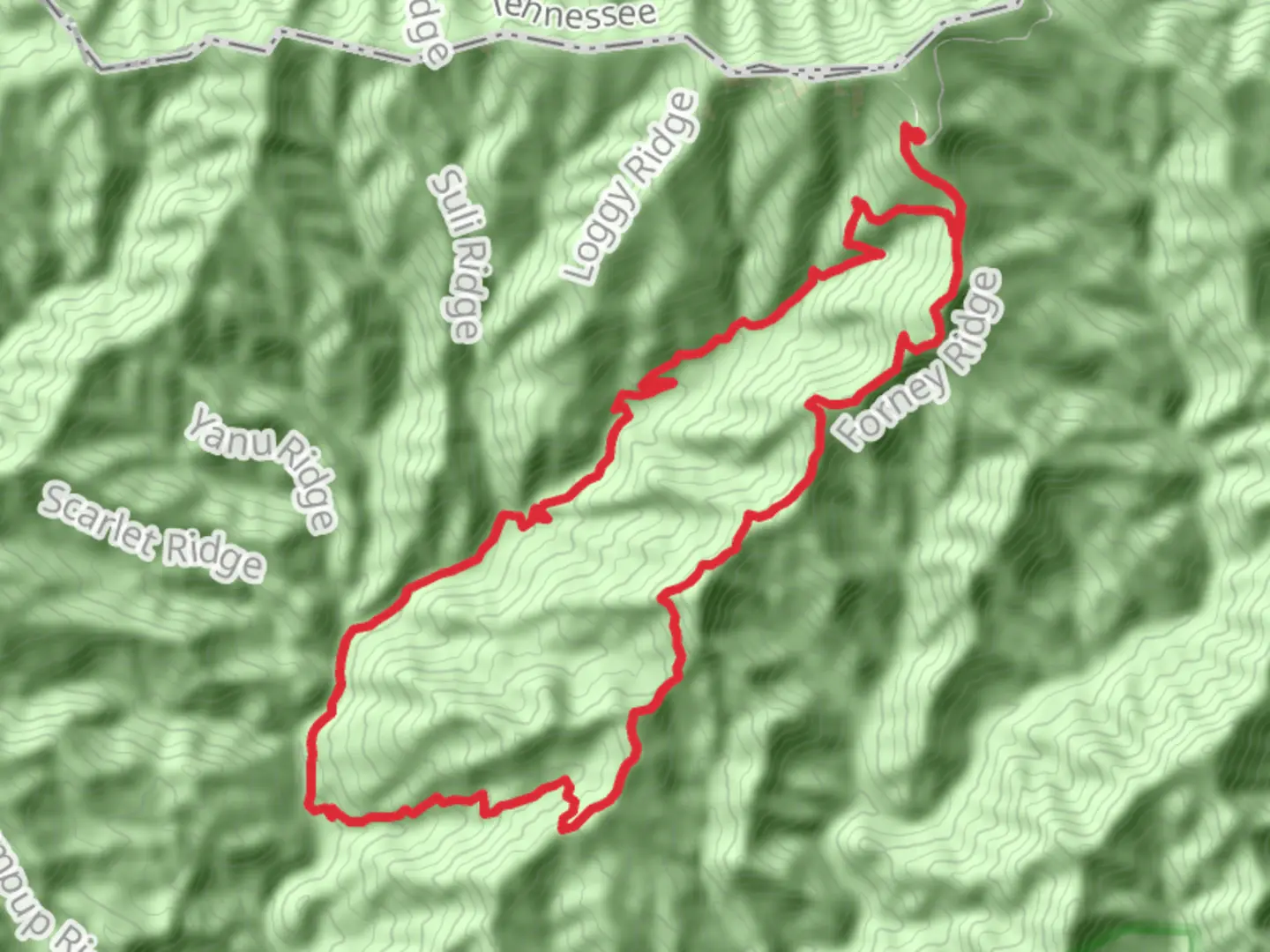 An image depicting the trail Andrew Bald Loop via Bee Gum Branch and Forney Creek and its surrounding area.