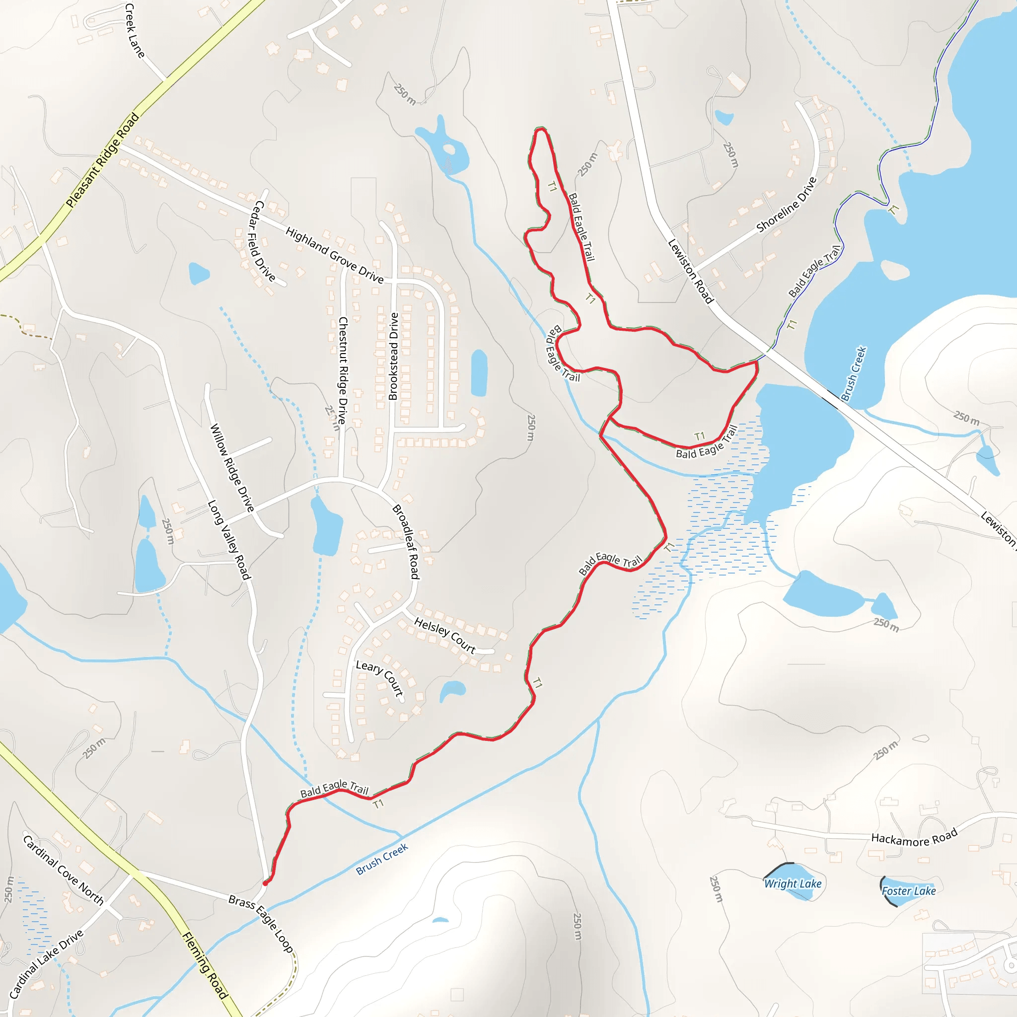 Bald Eagle Loop Trail mobile static map