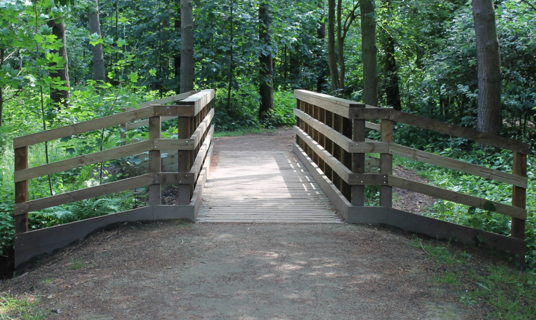 An image depicting the trail Willingham Woods and its surrounding area.