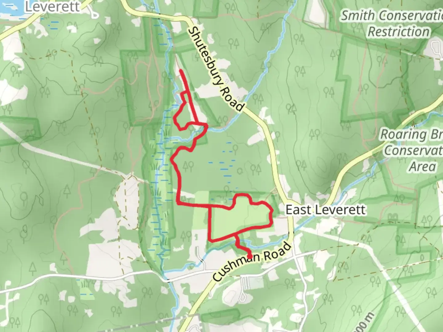 An image depicting the trail Adams Pine Grove Trail and East Leverett Meadow Loop and its surrounding area.