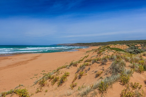 Coastal Cliffs Trail - Newland Head