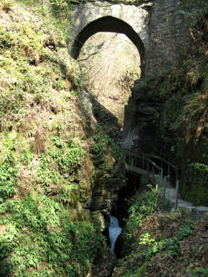An image depicting the trail Wheal Jewell Reservoir, Ravens Tor and White Lady Waterfall Loop and its surrounding area.
