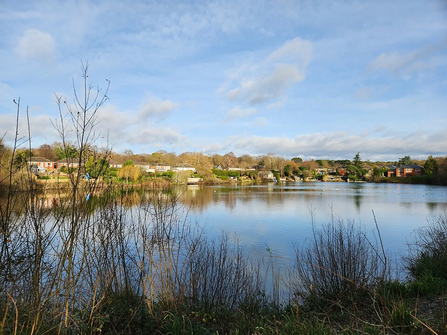 An image depicting the trail Oxshott Heath Short Loop from Stoke D'Abernon and its surrounding area.
