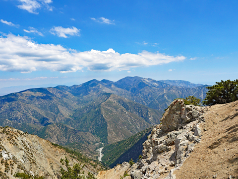 An image depicting the trail Manzanita Trail and its surrounding area.