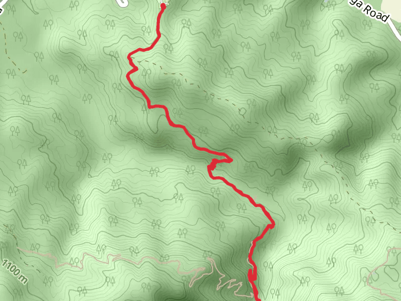 Laguna Creek Out and Back