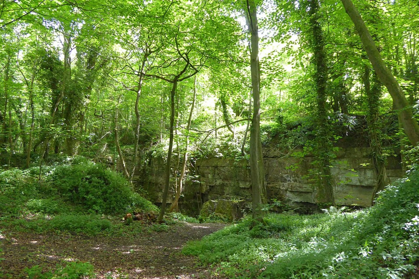 An image depicting the trail Pickering Eastern Loop and its surrounding area.