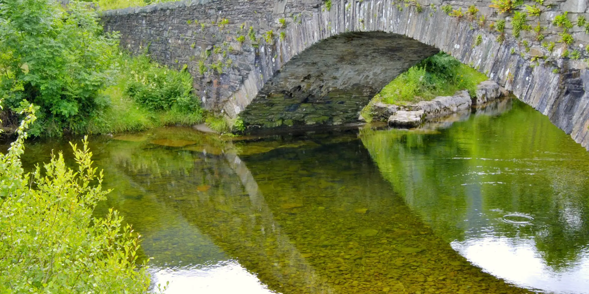 An image depicting the trail Downstream to Derwent Walk and its surrounding area.