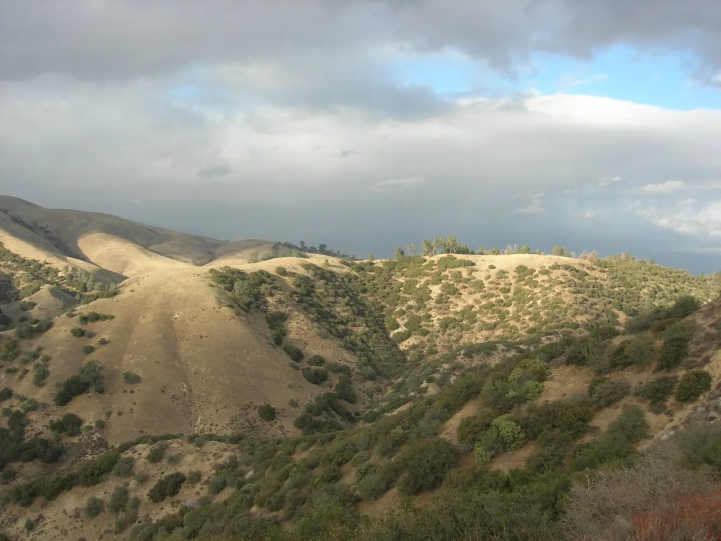 An image depicting the trail Liebre Mountain Road and its surrounding area.