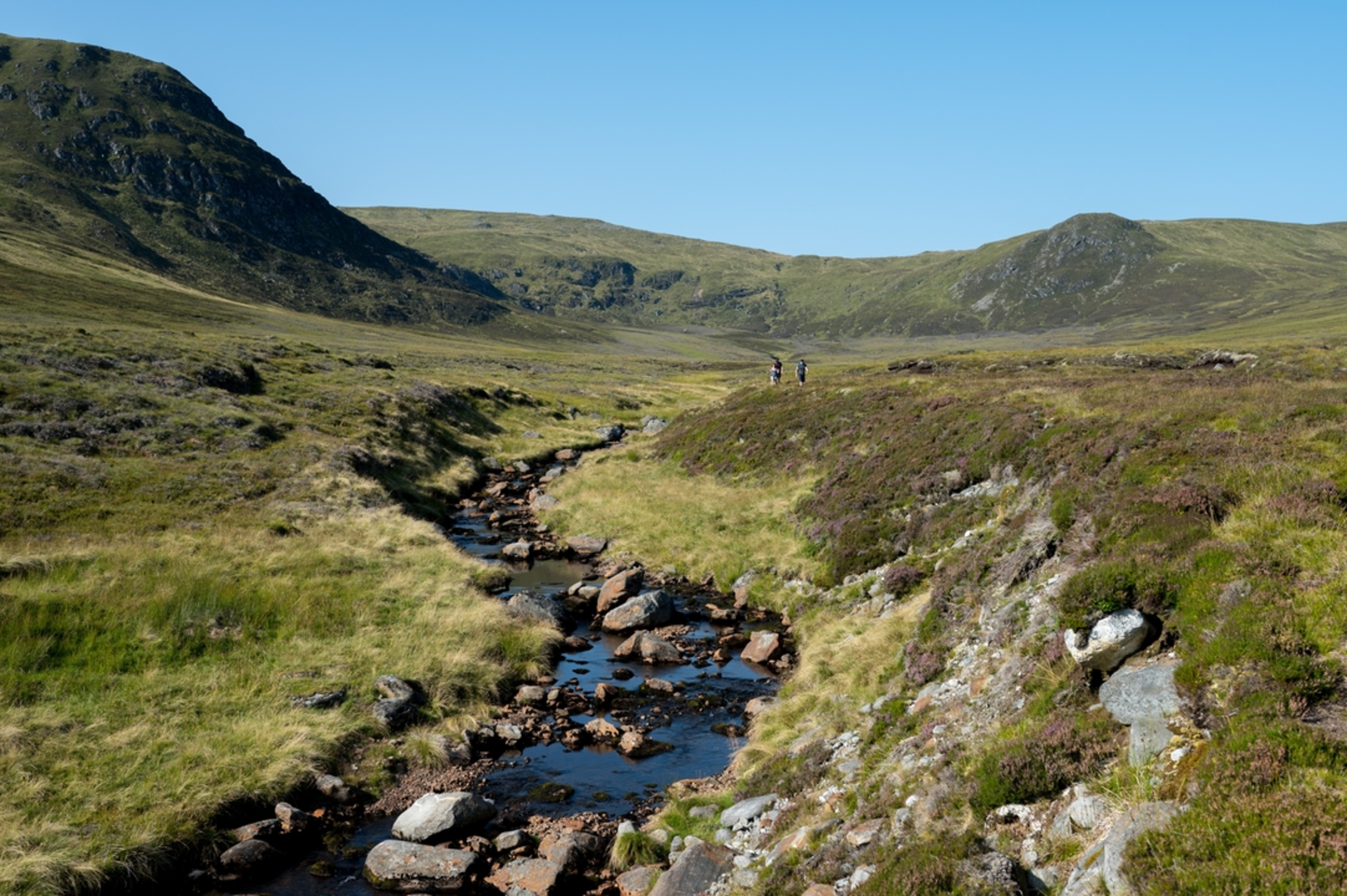 An image depicting the trail A' Chailleach - Fannichs Walk and its surrounding area.